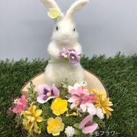 画像1596