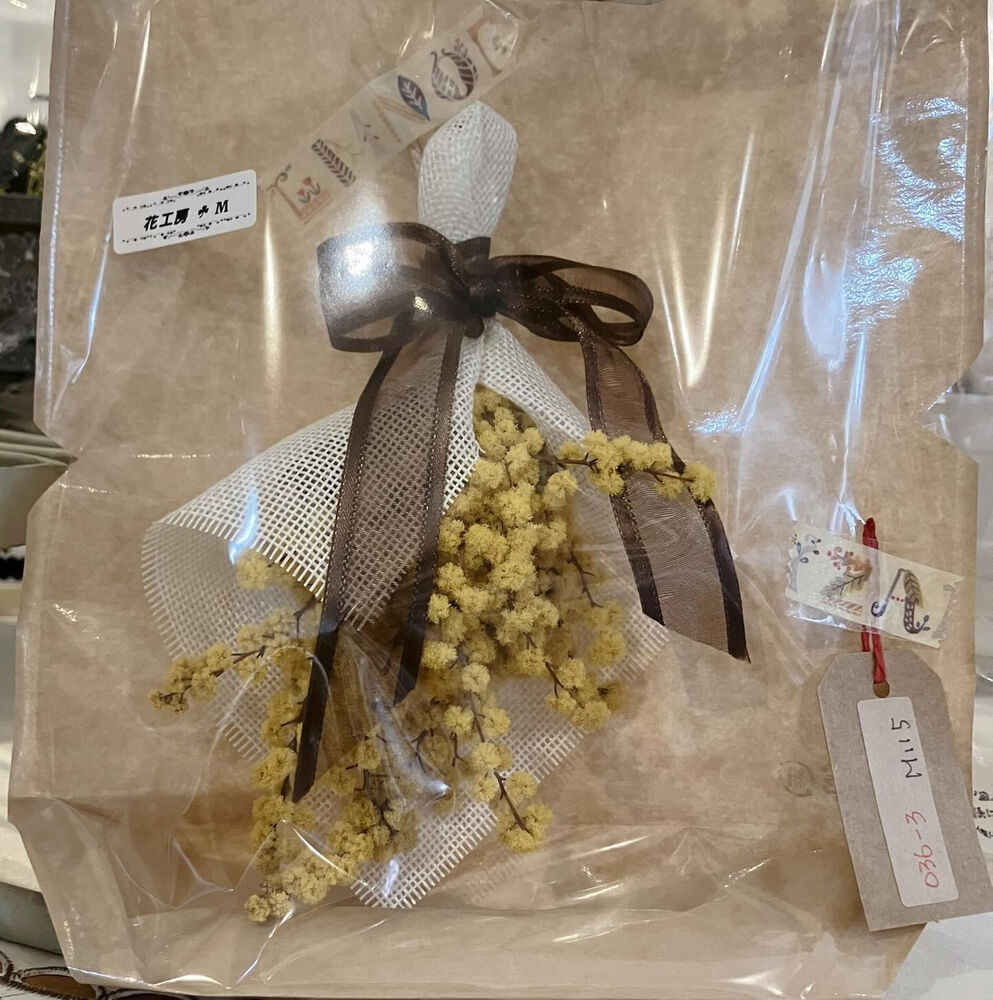 画像2584