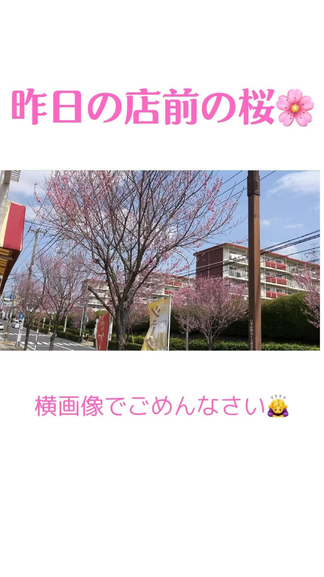 動画サムネイル