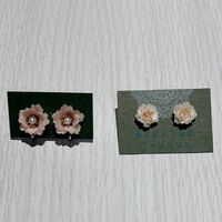 画像2657