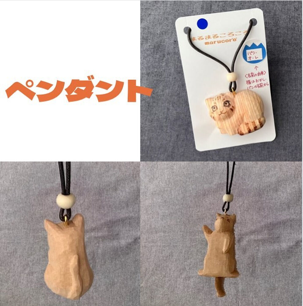 画像2662