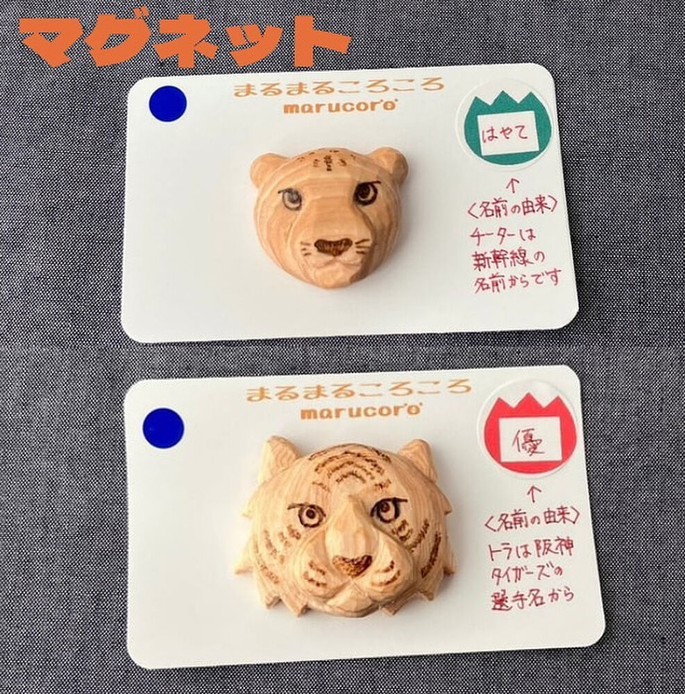 画像2665