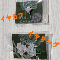 画像2859